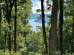 Plot For Sale In Silver Point, Tennessee