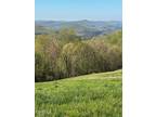 Plot For Sale In New Tazewell, Tennessee