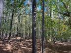 Anderson, Anderson County, SC Recreational Property, Undeveloped Land for sale