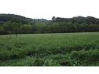 Plot For Sale In Roan Mountain, Tennessee