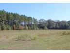 Plot For Sale In Newhebron, Mississippi