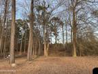 4366 TOWNSENDVILLE/MIDWAY ROAD, Maxton, NC 28364 Land For Sale MLS# 100421988