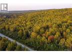 Lot 22-02 Guthrie Road, Bloomfield, NB, E5N 4L6 - vacant land for sale Listing