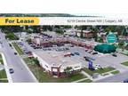 Unit 10-6219 Centre Street Nw, Calgary, AB, T2K 3R4 - commercial for lease