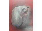 Vtg Siamese CAT Painting Realistic Red Background MCM Retro 60s 70s Signed GREEN
