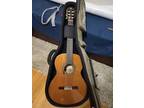 Alhambra 5P Conservatory Nylon String Classical Guitar Damaged W Case Look