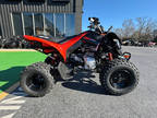 2024 Can-Am DS 250