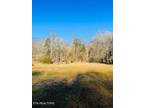 Plot For Sale In Riceville, Tennessee