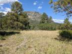 Colorado Springs, El Paso County, CO Undeveloped Land for sale Property ID:
