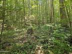 Plot For Sale In Grandview, Tennessee
