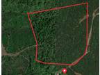 Plot For Sale In Big Sandy, Tennessee