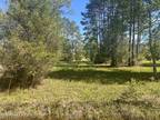 Plot For Sale In Moss Point, Mississippi