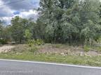 Weeki Wachee, Hernando County, FL Undeveloped Land, Homesites for sale Property