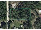 1917 HOLLY LN, BUNNELL, FL 32110 Land For Sale MLS# FC288996