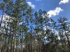 Plot For Rent In Dunnellon, Florida