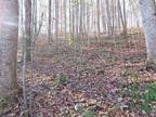 Plot For Sale In Silver Point, Tennessee