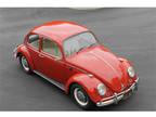 1966 Volkswagen Beetle