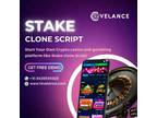 Stake Clone Script Developer