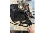 Troohyline/Tethrd Saddle Hunting kit