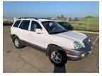 2004 Hyundai Santa Fe Base