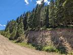 Idaho Springs, Clear Creek County, CO Recreational Property, Undeveloped Land