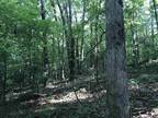 Plot For Sale In Counce, Tennessee