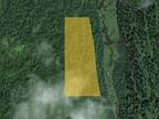 Alaska Land for Sale, 18.99 Acres, Creek Frontage