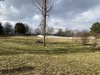 Plot For Sale In Mckenzie, Tennessee