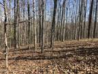 Plot For Sale In Rockwood, Tennessee