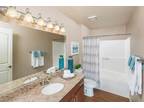 2 Bedroom 2 Bath In Scottsdale AZ 85251