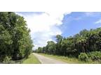 Plot For Sale In Arcadia, Florida