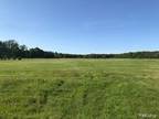 Plot For Sale In Wales Township, Michigan