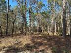 Plot For Sale In Dunnellon, Florida