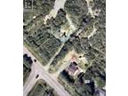 263 Upton Street, Minto, NB, E4B 3V7 - vacant land for sale Listing ID NB095304