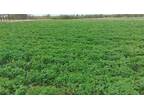 0 Spencer Road Road, Grunthal, MB, R0A 0R0 - vacant land for sale Listing ID