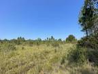 Plot For Sale In Lucedale, Mississippi