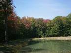 Plot For Sale In Linwood, Michigan