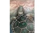 Michael Everett Rare Original Art, Not a Print, Grateful Dead Terrapin Stealie