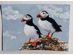 Puffin Birds on a Rock ACEO Original Animal PAINTING by Leslie Popp