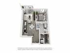 1400 FIG Apartments - 1 Bedroom B6