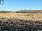 Rm Of Battle River Acres, Battle River Rm No. 438, SK, S0M 0E0 - vacant land for