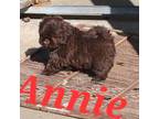 Pretrained ...Annie