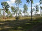 Hemphill, Sabine County, TX Undeveloped Land, Homesites for sale Property ID: