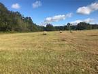 TBD NW 133RD LN, REDpart, FL 32686 Land For Sale MLS# OM666463