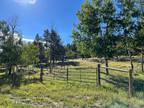 Florissant, Park County, CO Recreational Property, Undeveloped Land for sale