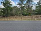 Citrus Springs, Citrus County, FL Farms and Ranches, Homesites for sale Property