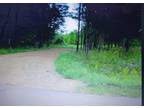 Plot For Sale In Gladwin, Michigan