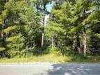 Plot For Sale In Gladwin, Michigan