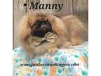 Manny Free Shipping