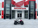 2023 Honda TRX90X